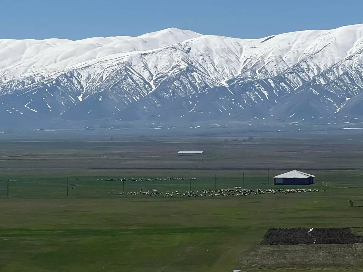 yuksekovada-coban-sikintisi-JtWEDThu.jpg