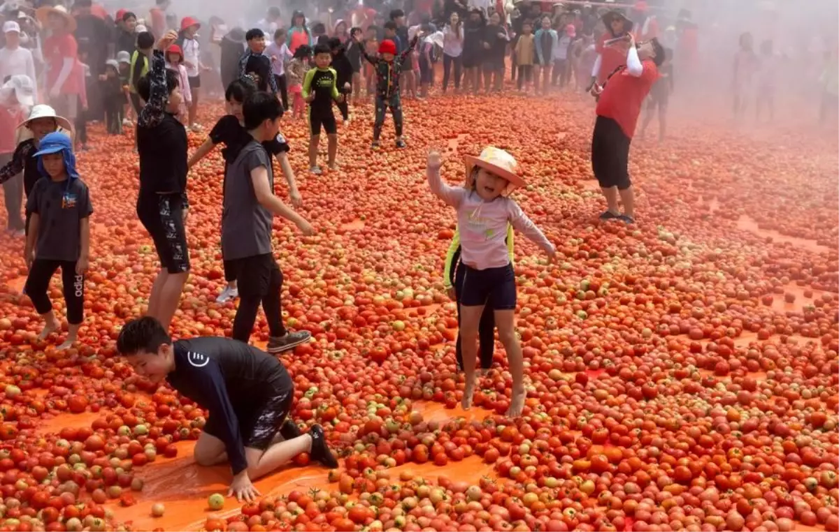 Hwacheon Domates Festivali’nde Savaş