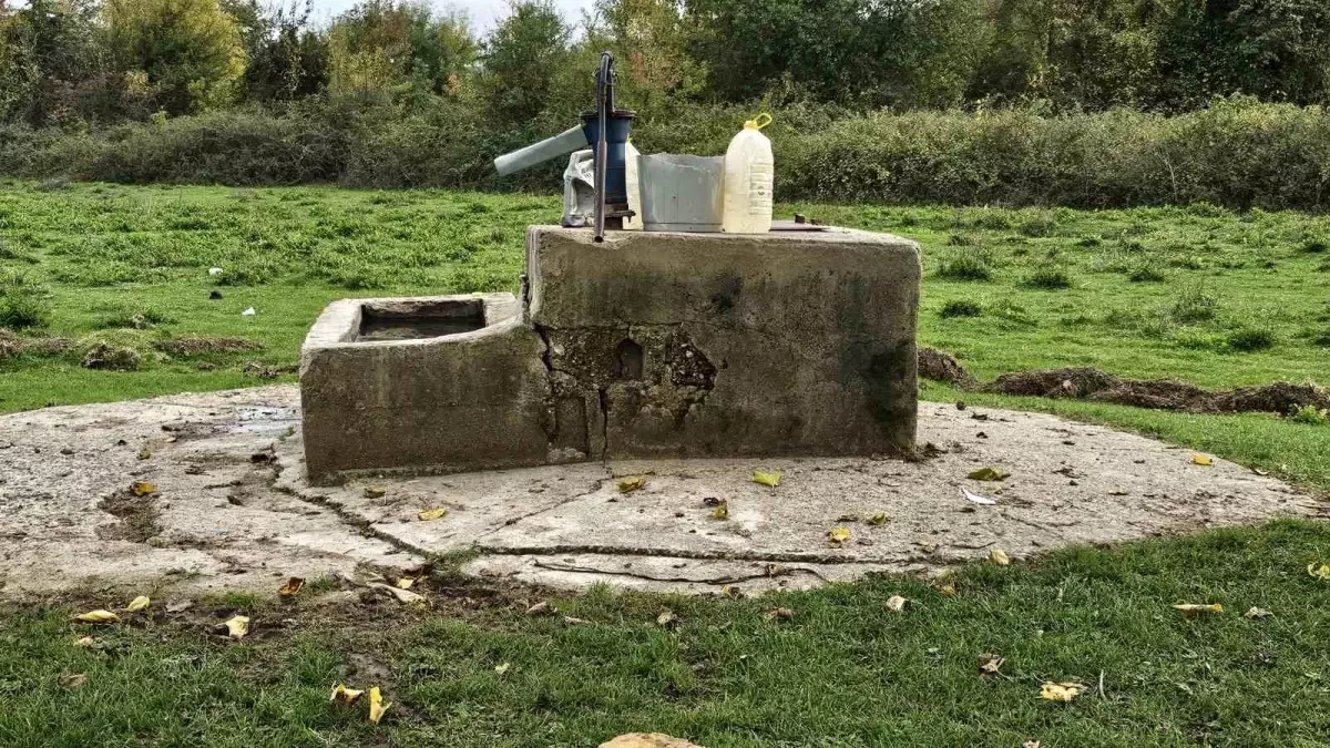 Zonguldak’ta cinayet: 17 yaşındaki Hasret’in katil zanlıları tutuklandı