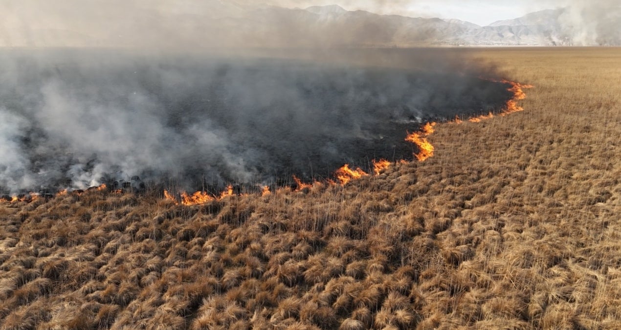 4 gün boyunca alev alev yandı! Nehil Sazlığı’ndaki yangın kontrol altına alındı