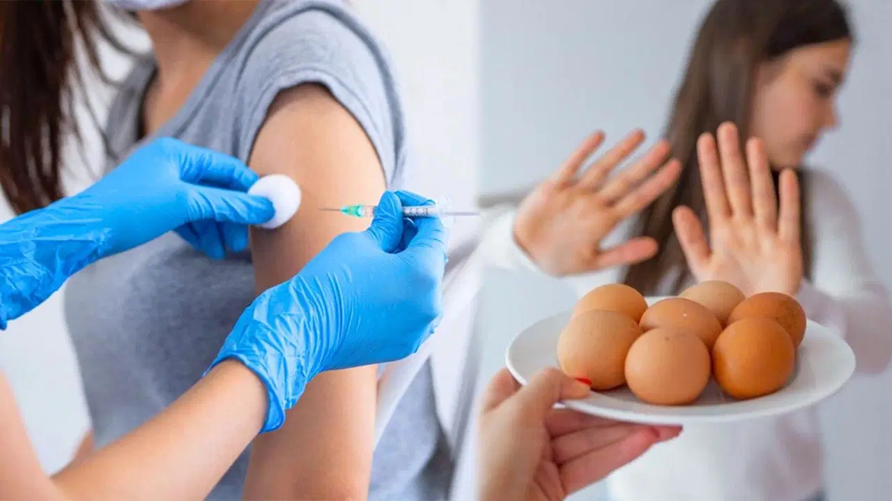 Yumurta alerjisi olanlara ‘grip aşısı’ uyarısı