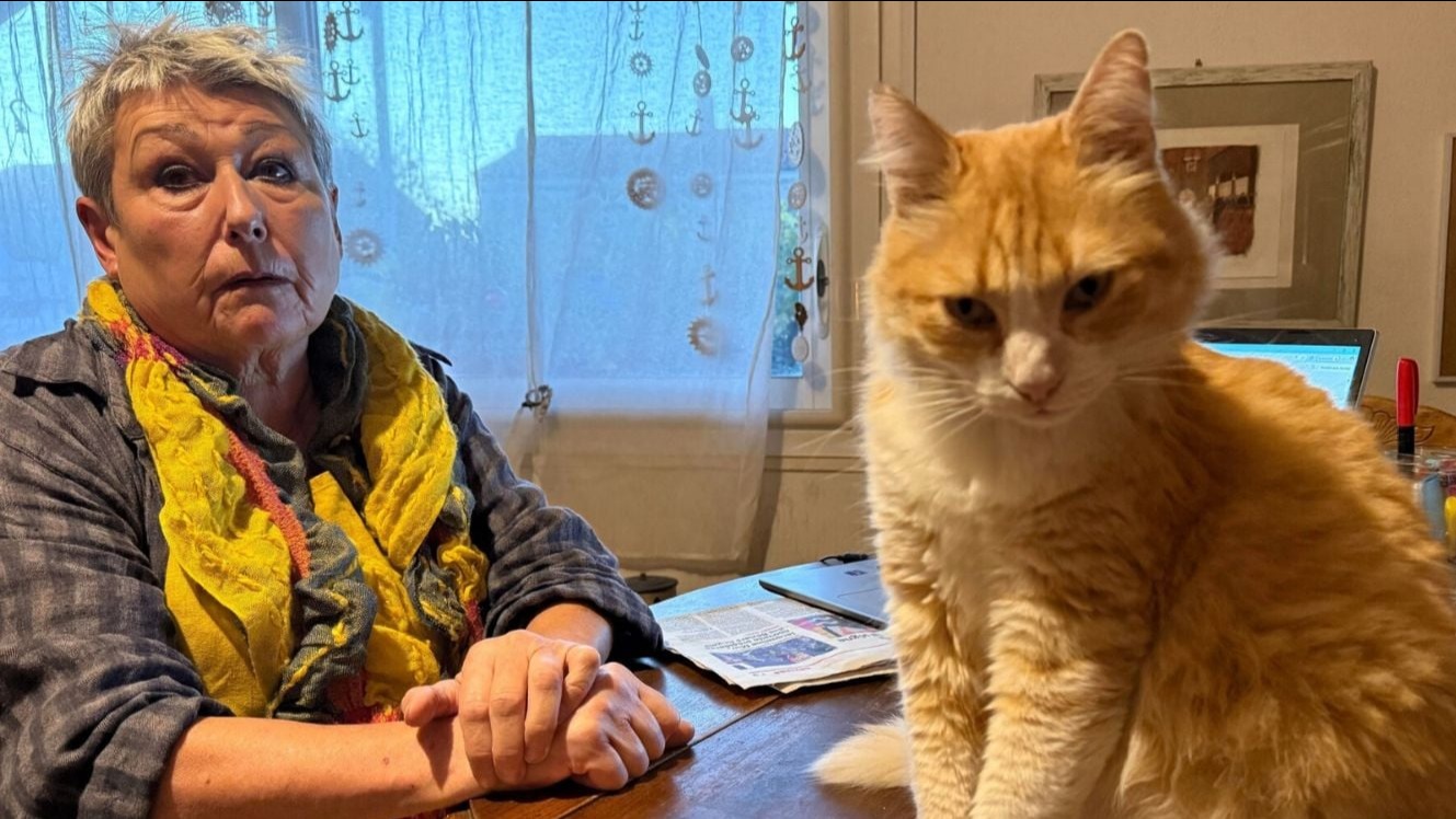 Dünyanın ilk ev hapsi alan kedisi. Sahibi başına tuğla yemiş gibi oldu