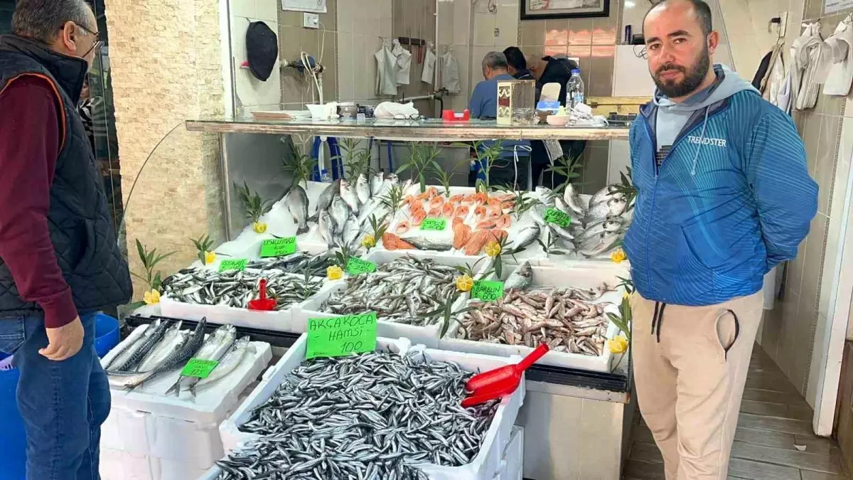 Düzce’de Hamsi Bolluğu, Palamut Yok