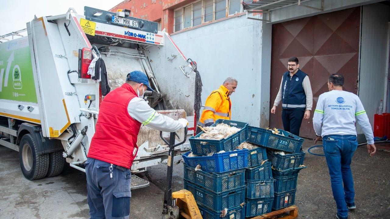 Tüm mahalleyi kötü koku sarmıştı: Nedeni 25 kasa tavuk çıktı!