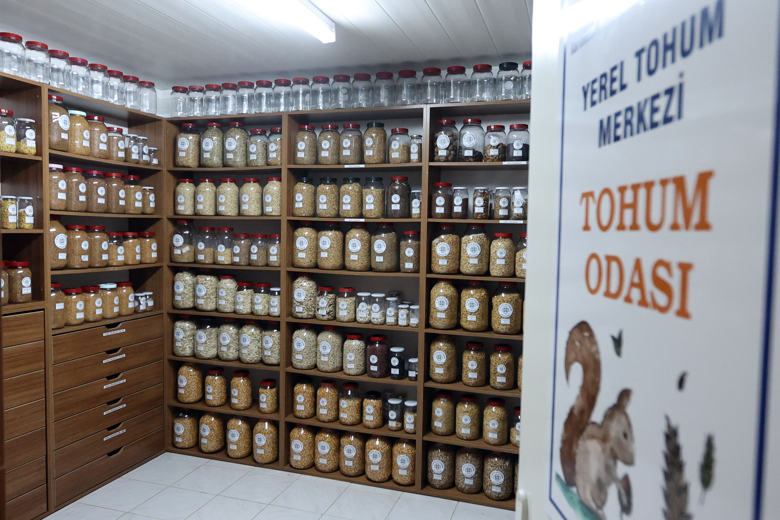 Yerel tohum desteği görseli