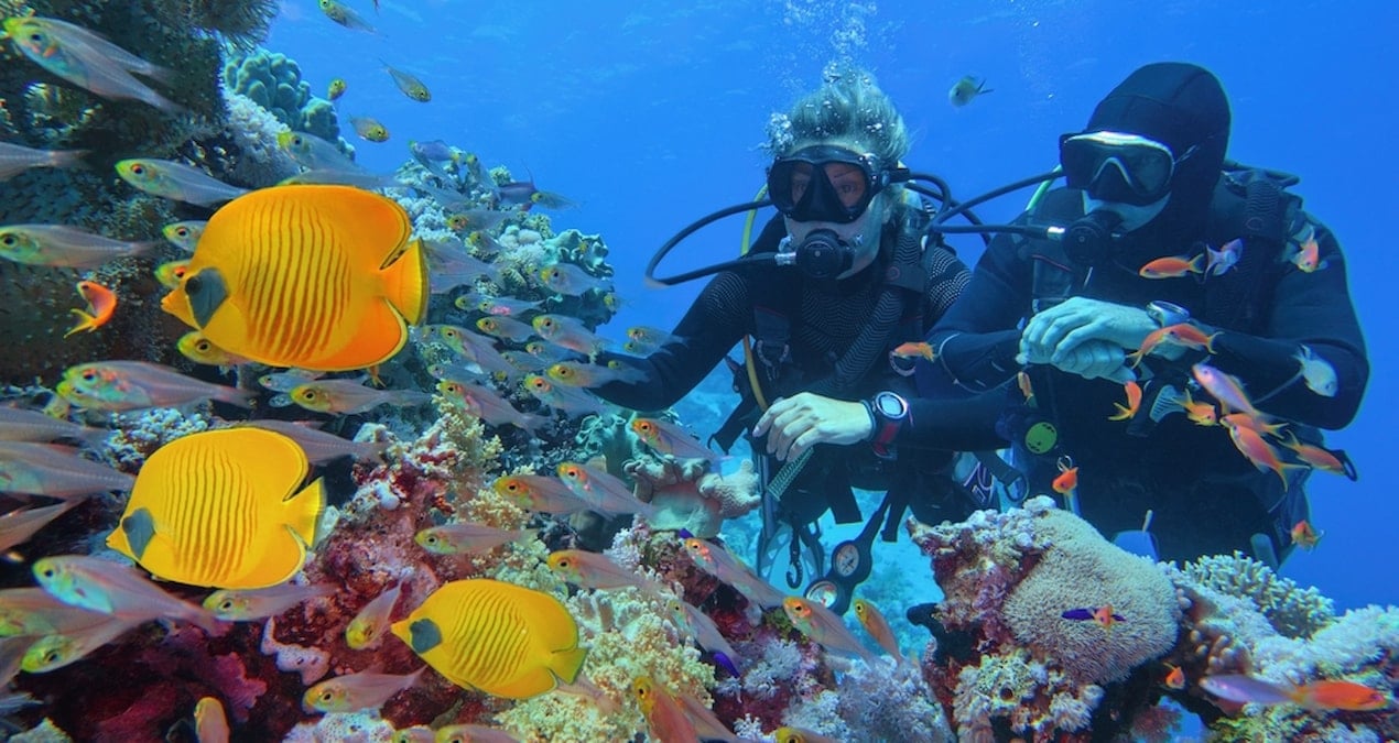 Gıda güvensizliğine karşı gizli silah okyanuslarda bulundu