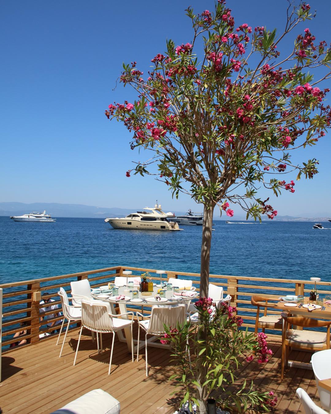 Lucca by the Sea: Bodrum Sahillerinde Müzik, Yemek ve Yaz Geceleri