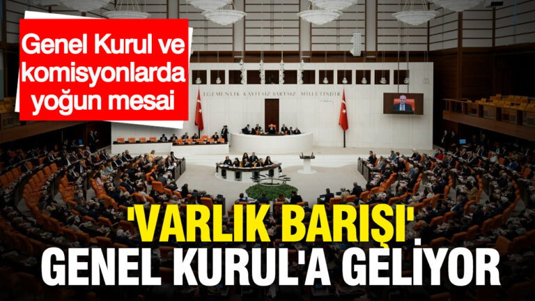mecliste-bu-hafta-gundem-yogun-varlik-barisi-genel-kurula-geliyor-dPhDJZAQ-1