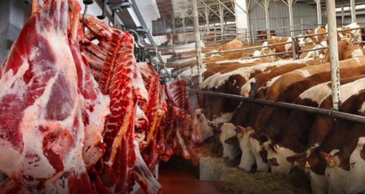 Paraguay asıl golü Türkiye’ye sığır eti ithalatı ile attı